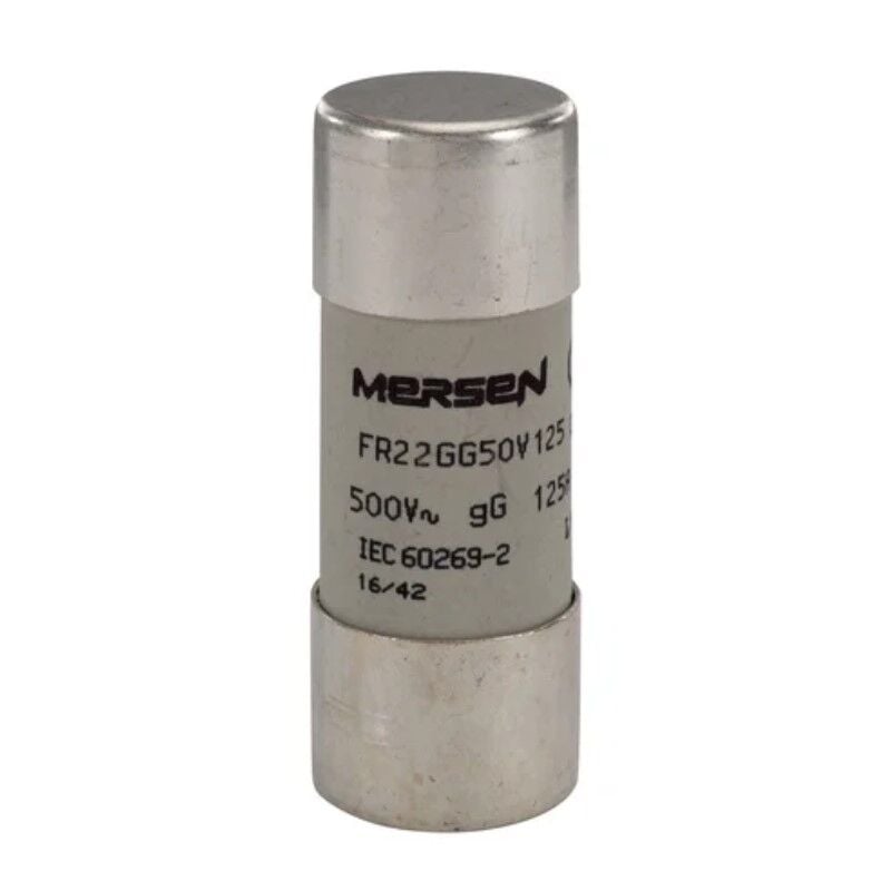 FR22GG50V125, 22x58mm 500V 125A gG Porselen Sigorta
